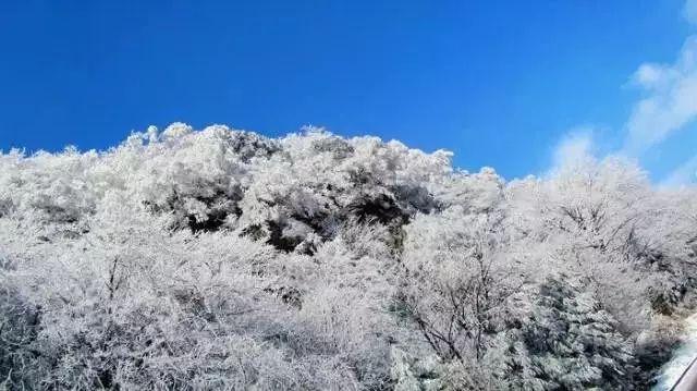 米乐米可森林大冒险
