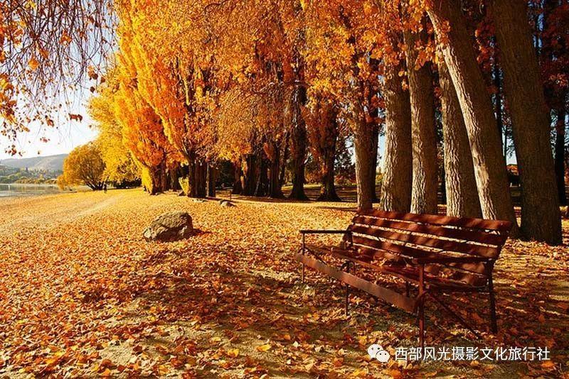 燃烧吧大脑装瓶子游戏